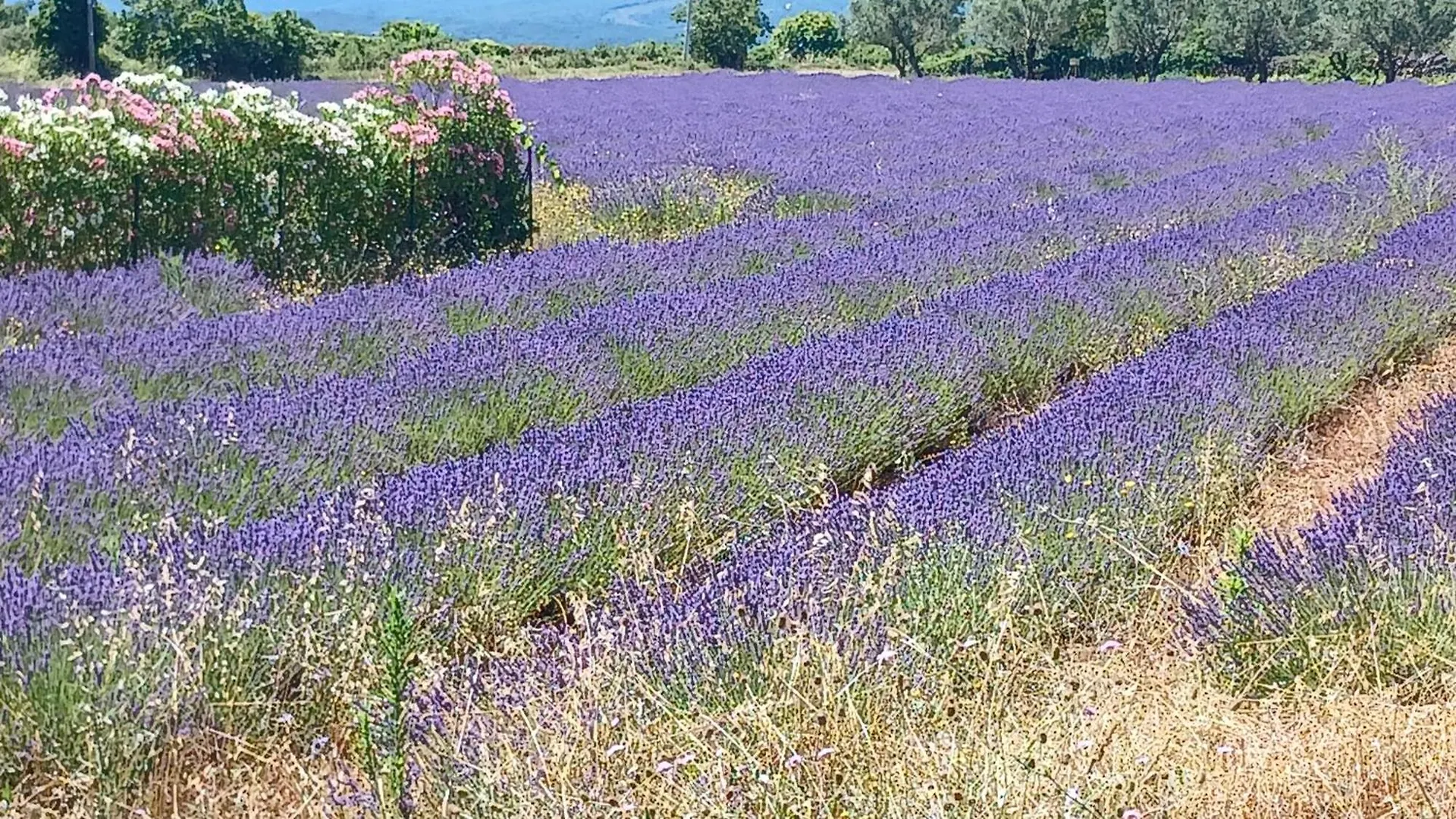 Maison d'hôtes Une Nuit au Village Orgnac-lʼAven